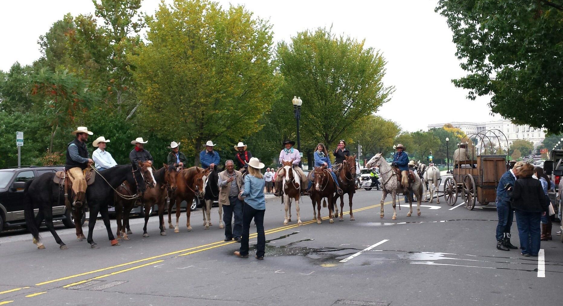 Grass March DC